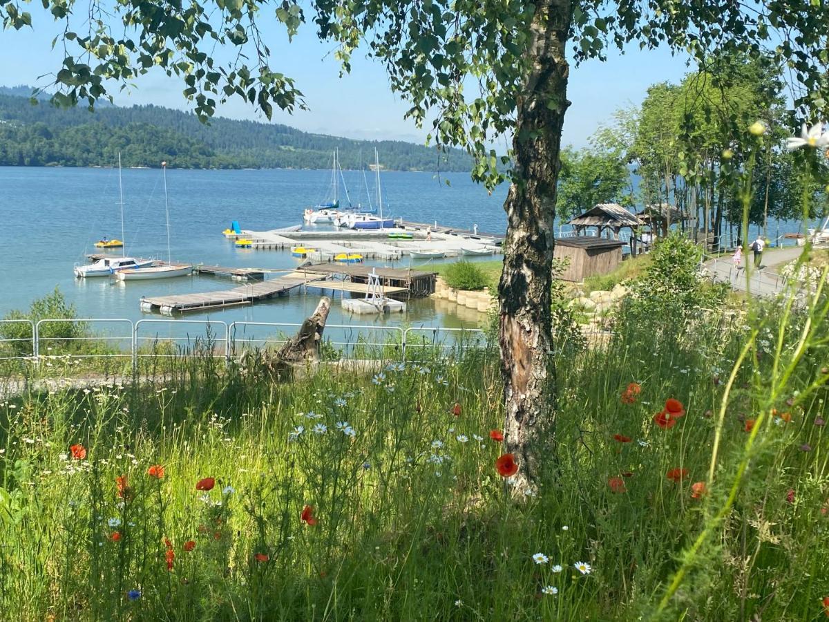Apartament Czorsztyn Lake&Ski Zewnętrze zdjęcie